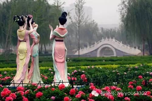 洛阳适合中学生好玩免费景点,洛阳各个景点的介绍