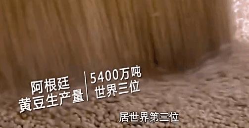 从撤侨行动中，管窥中国的强大实力｜《大道中国》