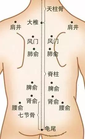 冬病夏治神奇的艾灸,治疗哮喘的特效针灸视频