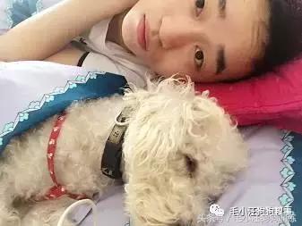 猫狗双全的赢家,狗猫双全的人生赢家