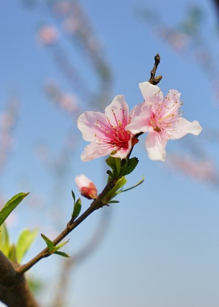 太湖舒畅之旅：乐享田园生活