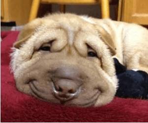 卸妆膏睫毛打底液太难卸了,眼唇卸妆液和卸妆膏哪个好用些