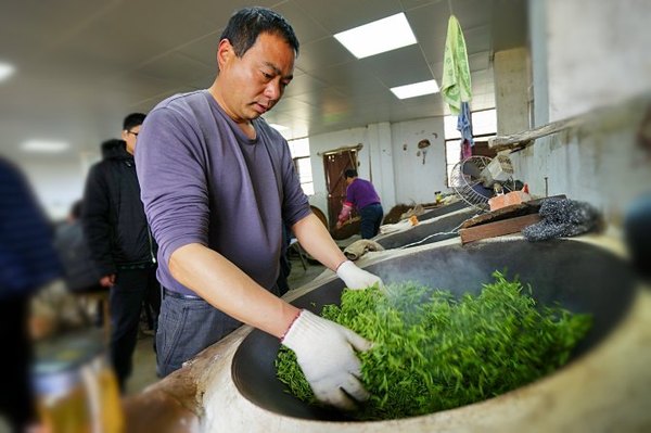 太湖舒畅之旅：乐享田园生活