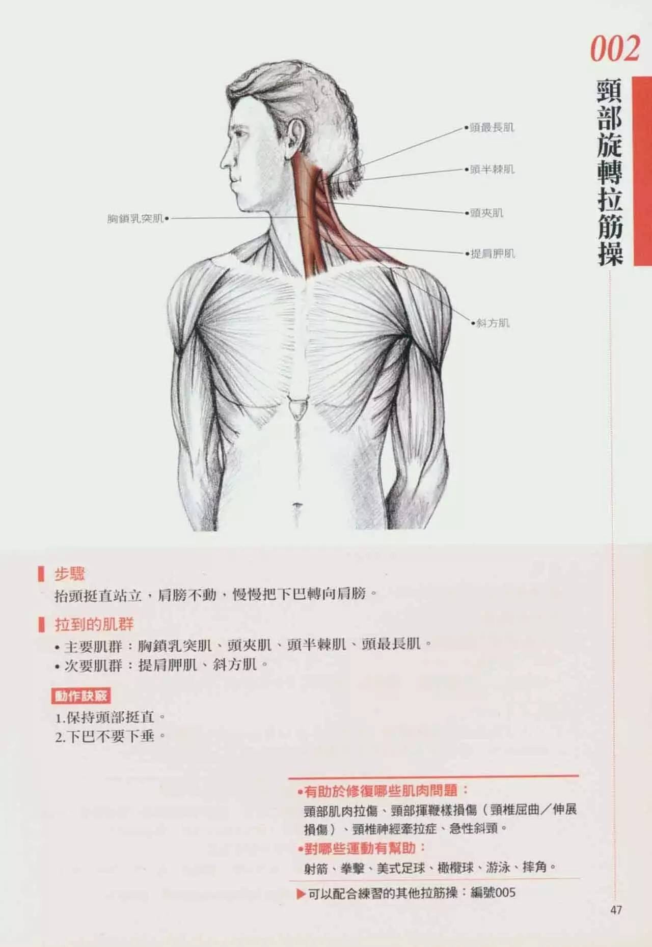 拉筋养生书,拉筋拍打书籍大全