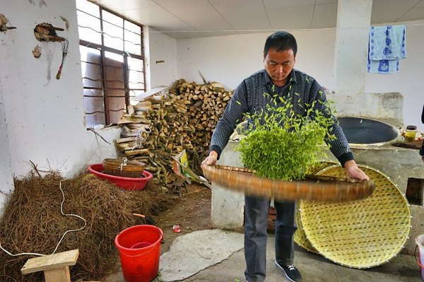 太湖舒畅之旅：乐享田园生活