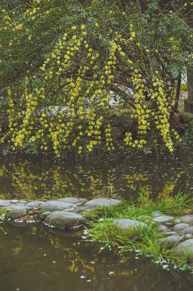 他在这里盖房子时，日本人还没学会唐风