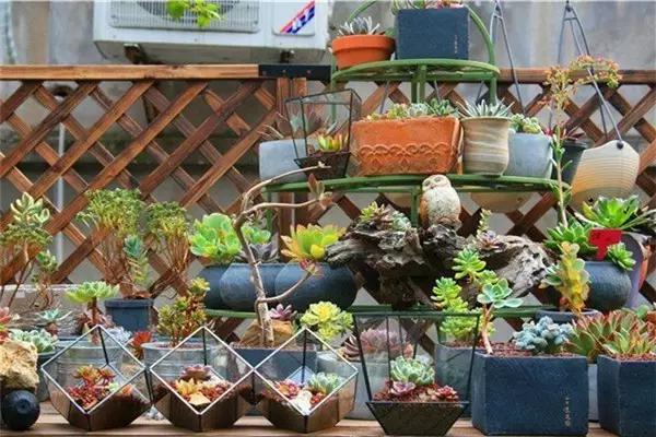 武汉阳逻花店,武汉武昌花店送花