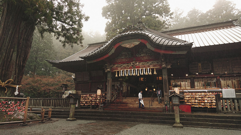 #与索尼为5#赏樱之旅之三：暴雨中方见机身防水之本色！