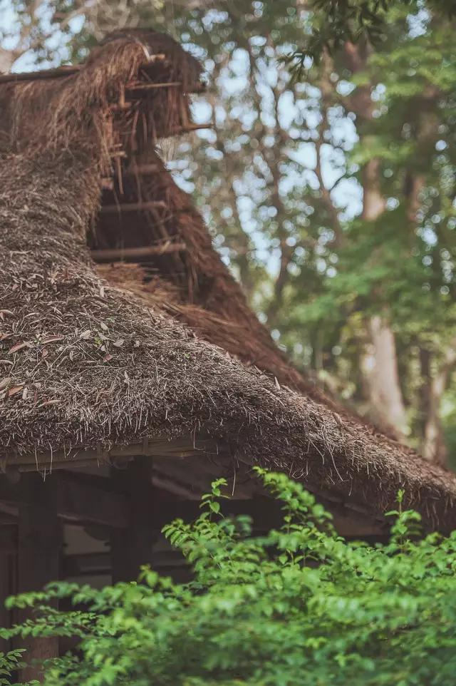 他在这里盖房子时，日本人还没学会唐风
