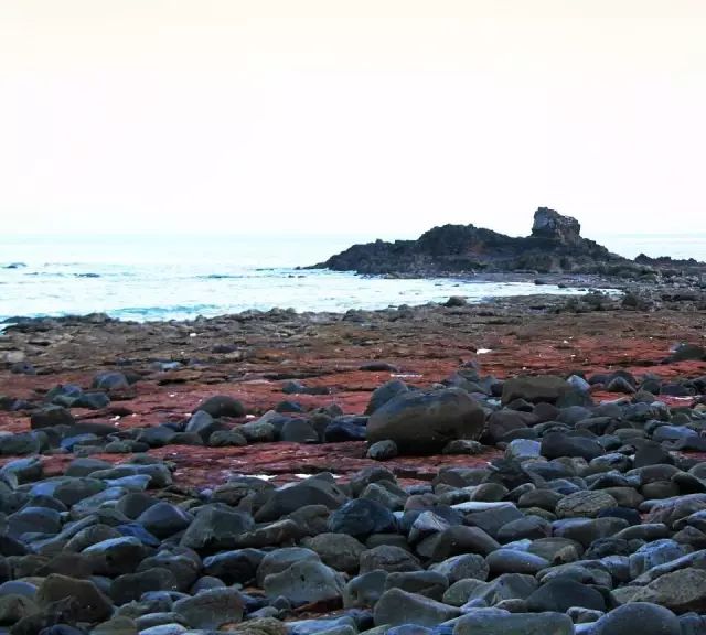 漳州大火山岛,福建漳州有几个火山岛