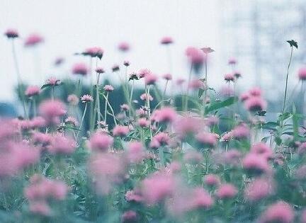 三年级陈述句改转述句100句含答案,小学语文转述句和陈述句专项练习