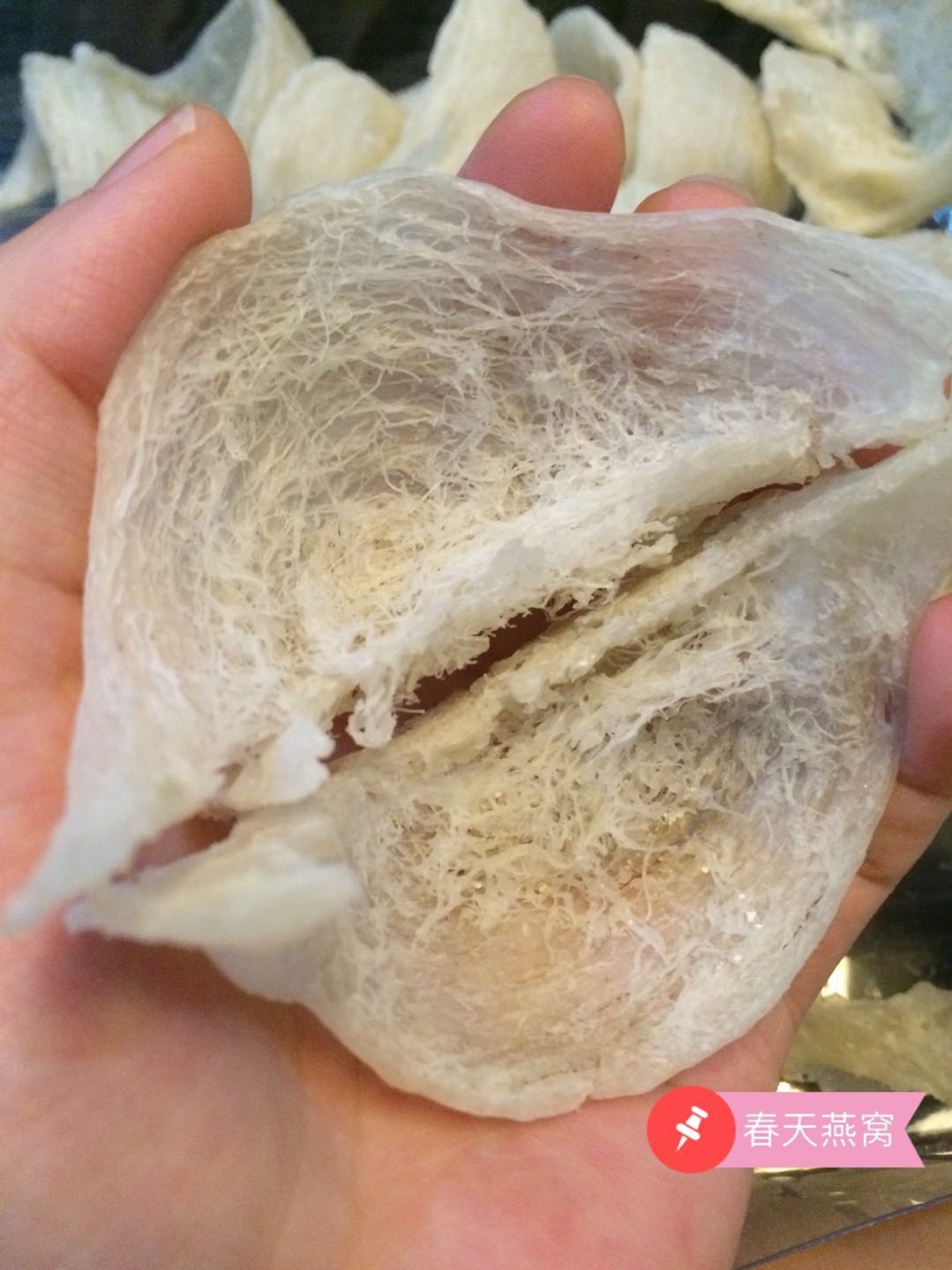 怀孕了要不要吃叶酸,怀孕了要吃燕窝桃胶吗