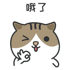 直通车测图测款教程,直通车测图测款标准计划怎么操作