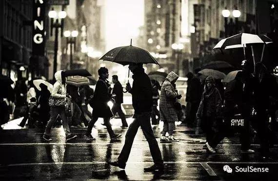 收藏雨伞,高档收藏雨伞