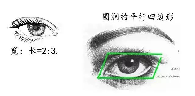 好看的双眼皮必须具备以下几点,真正做的好看的双眼皮是什么样子