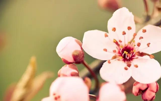 栗子姐情感问答07,栗子姐每日情感问答100句