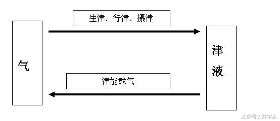 养生｜《服气精义论》，发展陶弘景服气疗病思想，简单可行