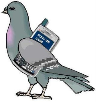 15个奇闻异事,15个罕见的奇闻怪事