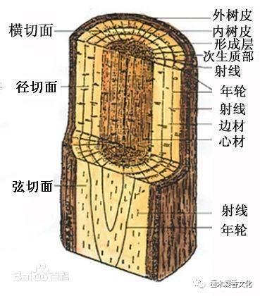 老山檀和天然檀香有什么区别,檀香是怎么样的
