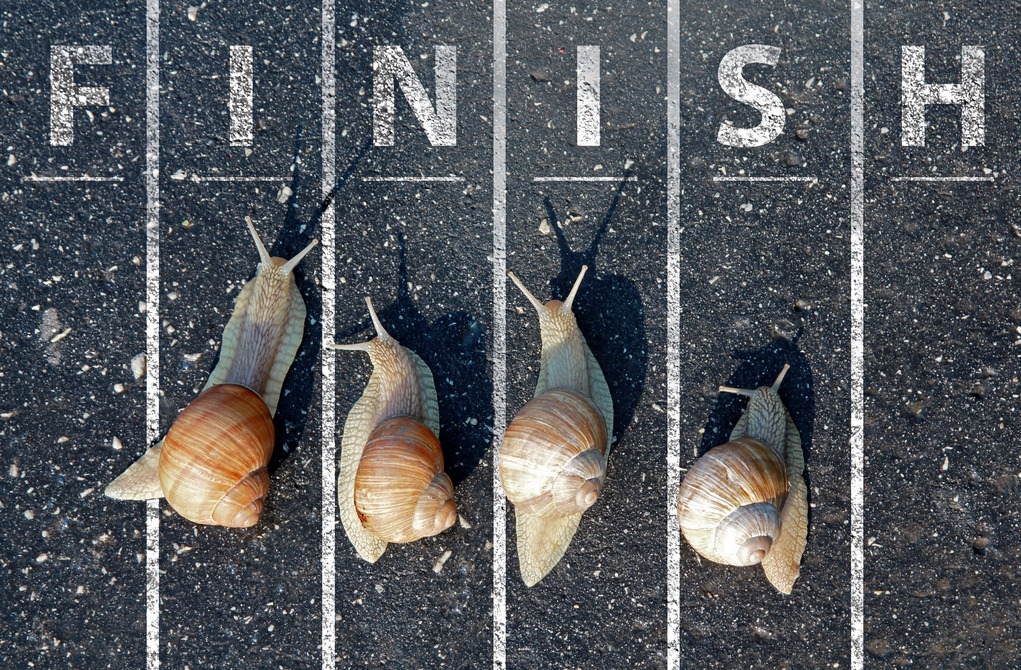 你以为的啃老vs实际上的啃老,啃老第三集