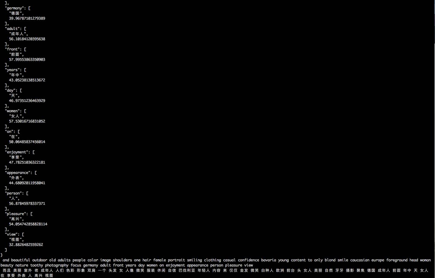 精准的英语翻译视频,标签翻译