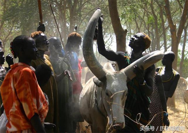 涓栫晫涓婃渶榛戠殑绉嶆棌,涓栫晫涓婃渶榛戞渶楂樼殑绉嶆棌