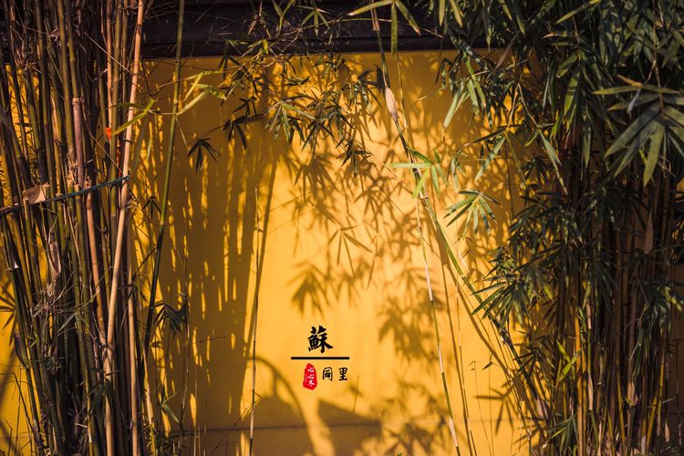 蹇冨績鍐棩灏忚,蹇冨績鍐棩