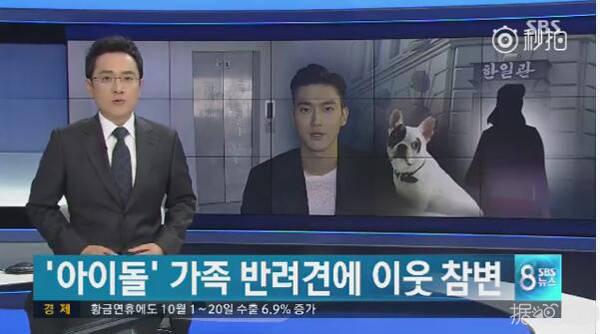 崔始源养狗最新视频,崔始源再次为两年前爱犬事件道歉