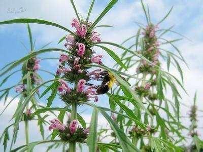 子宫宫寒严重会导致什么,宫寒会对子宫造成什么影响