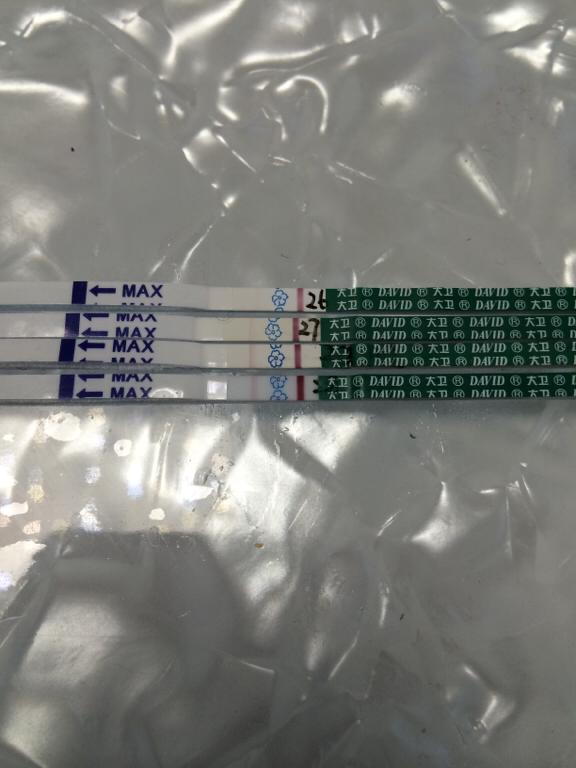 什么时候开始吃黑豆容易怀孕,终于怀孕了吃什么