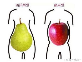 什么身材适合做腹壁整形,腹壁整形术前后恢复效果图