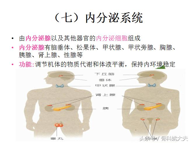 老年人护理基础知识大全,老年人的护理与保健知识
