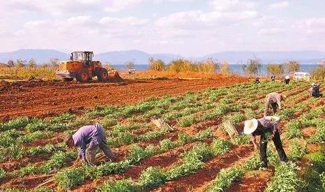 刷单违法的法律法规有哪些,刷单违反了哪些法律法规的规定