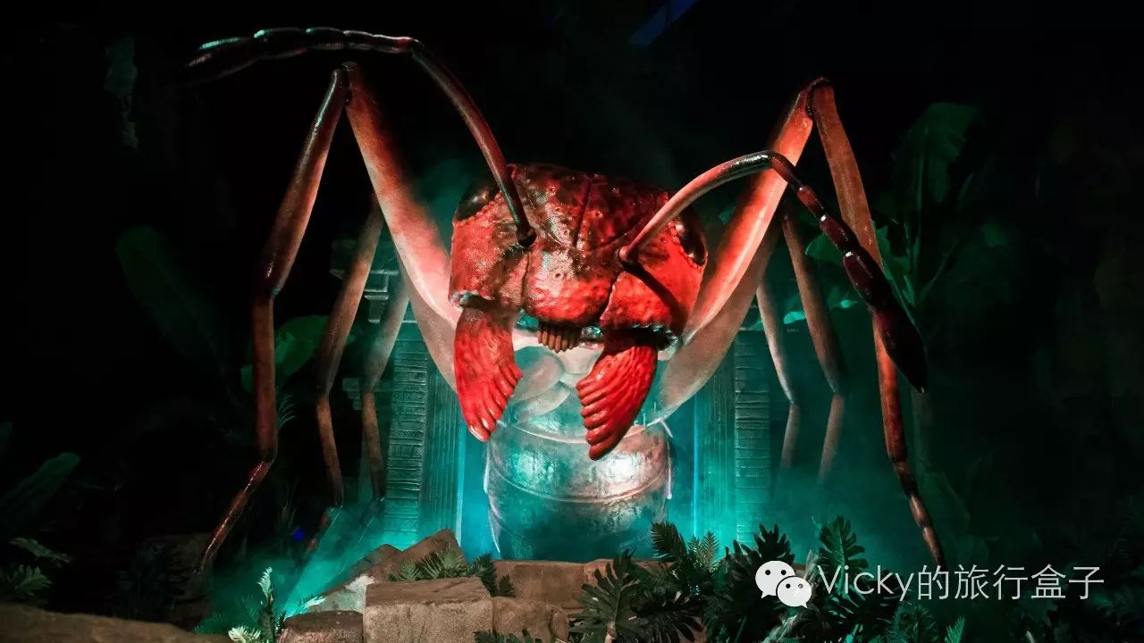 要说万圣节哪家强？这里可是连许巍都被吸引来一起“鬼”混了！