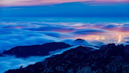 中国的10种名茶崂山绿茶,崂山绿茶筛选出来的大叶茶