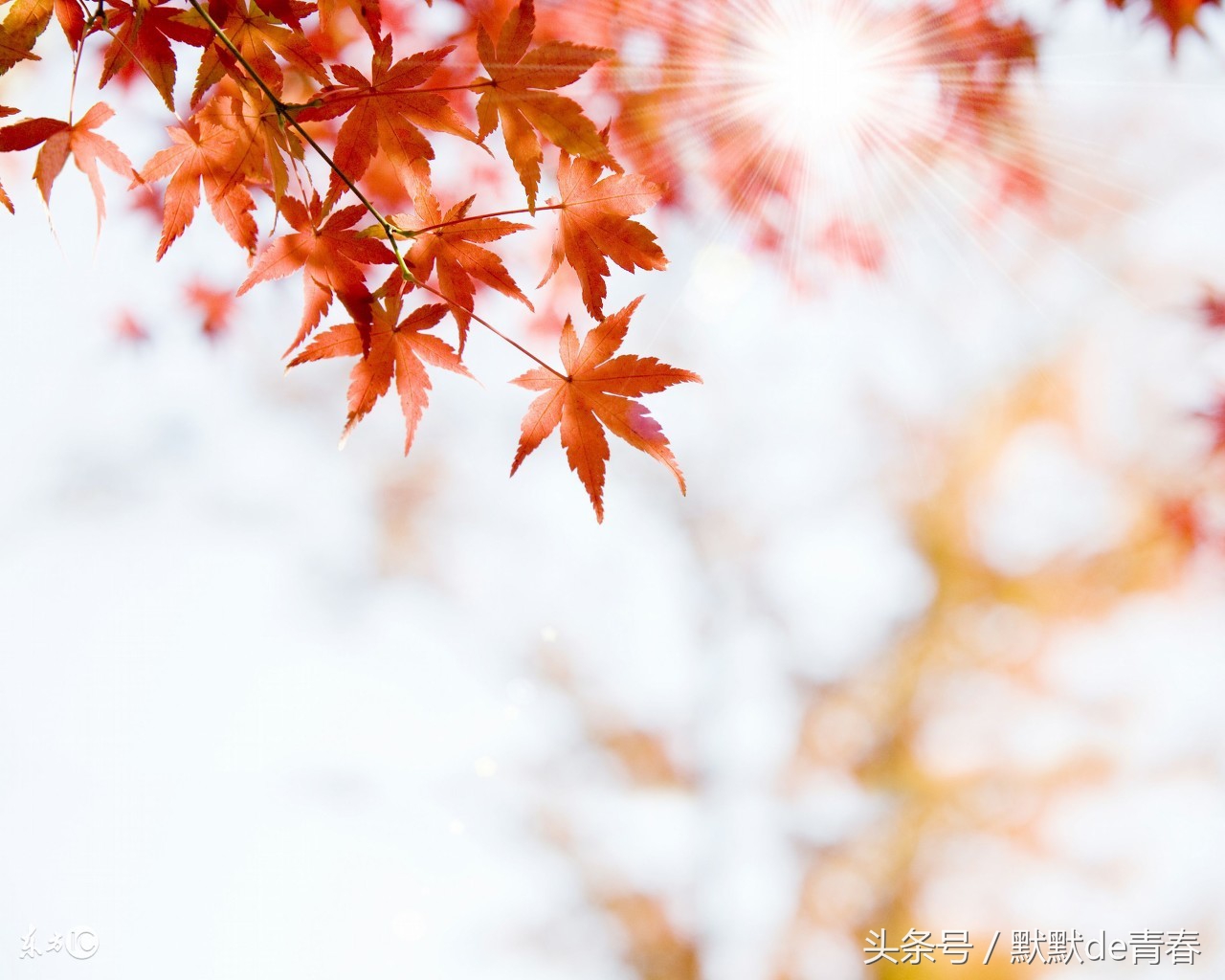 适合做手机铃声的歌曲推荐中文,适合做手机铃声的歌女生名单