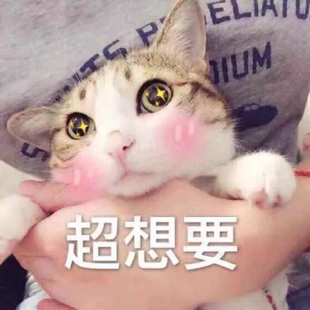 特卖丨家中清洁要革新，你需要凯驰FC5,1899带回家，德国直采直邮