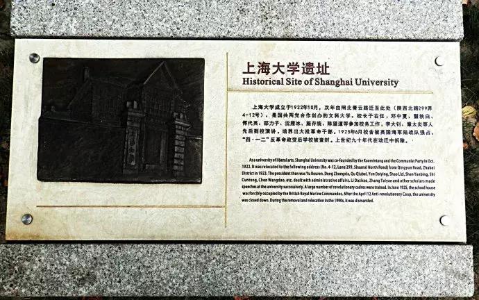 上海最有历史的马路,上海这条超网红的马路