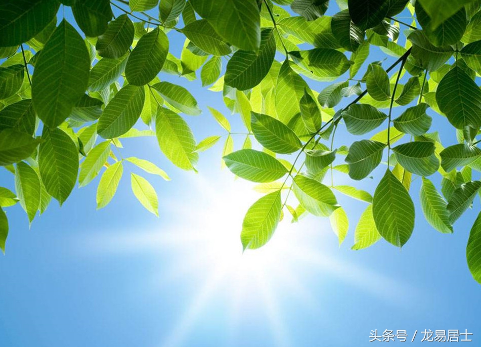 命理简批-农历1973年4月28日午时乾造（四川攀枝花米易）