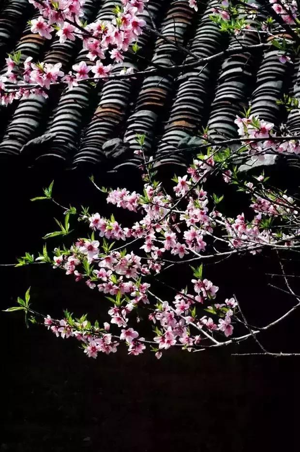 活得自在心底踏实安详,活的意义是什么