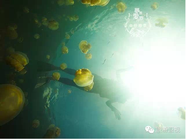 帕劳恢复免签2017,帕劳对中国人免签不