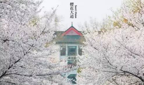 国务院批复合肥的定位,国家为什么要发展合肥