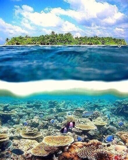 最接近天堂的地方塔希提岛,塔希提岛姊妹岛