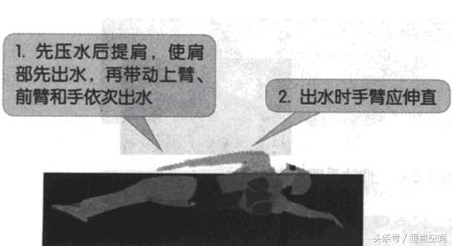 仰泳的正确泳姿教学视频,仰泳的正确泳姿完整慢动作