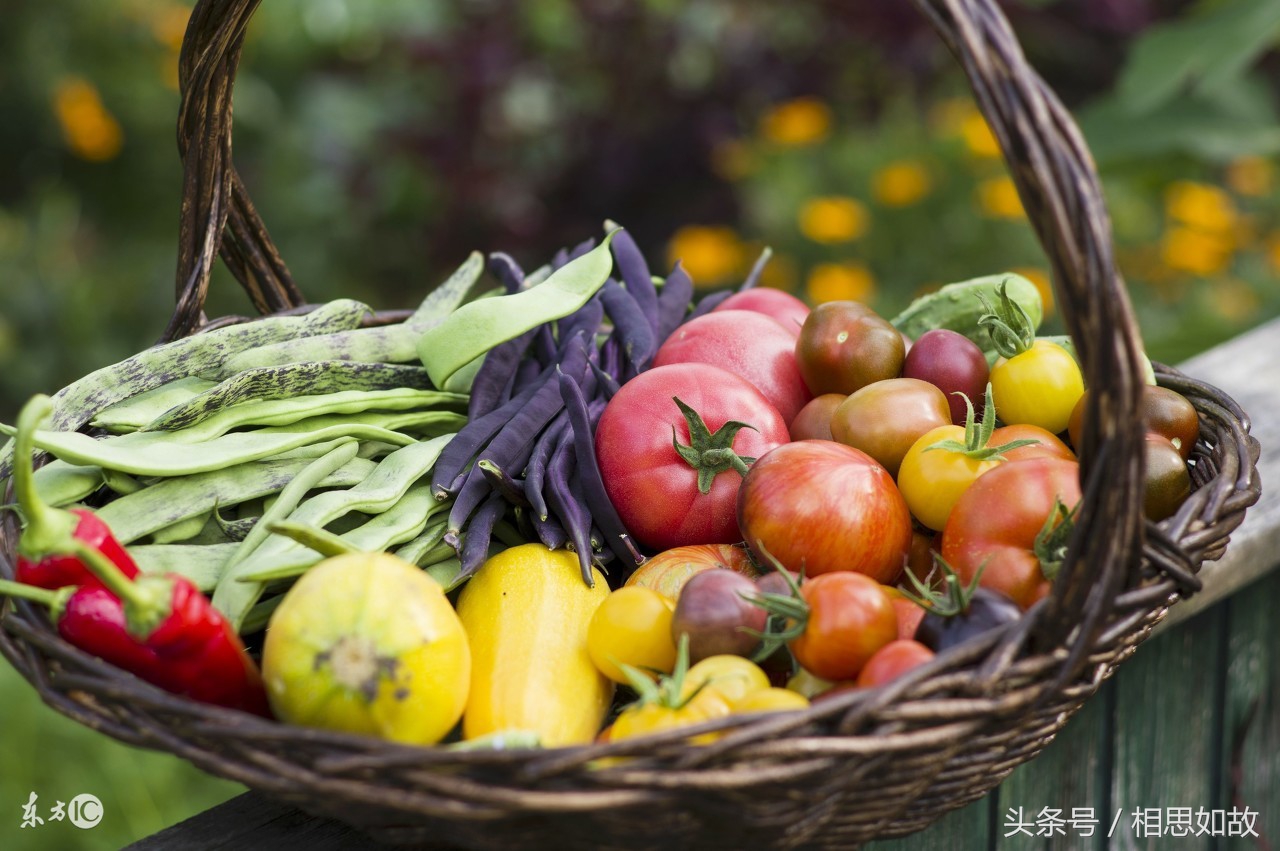 农村创业项目小成本,农村残疾人创业项目