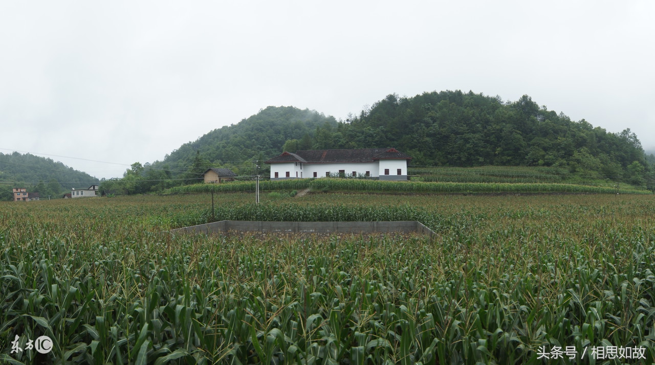 农村创业项目小成本,农村残疾人创业项目