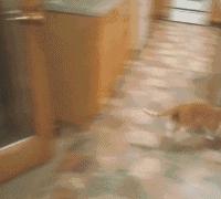 姣忔棩绗戞姤鐖嗙瑧璇綍,姣忔棩绗戞姤2014