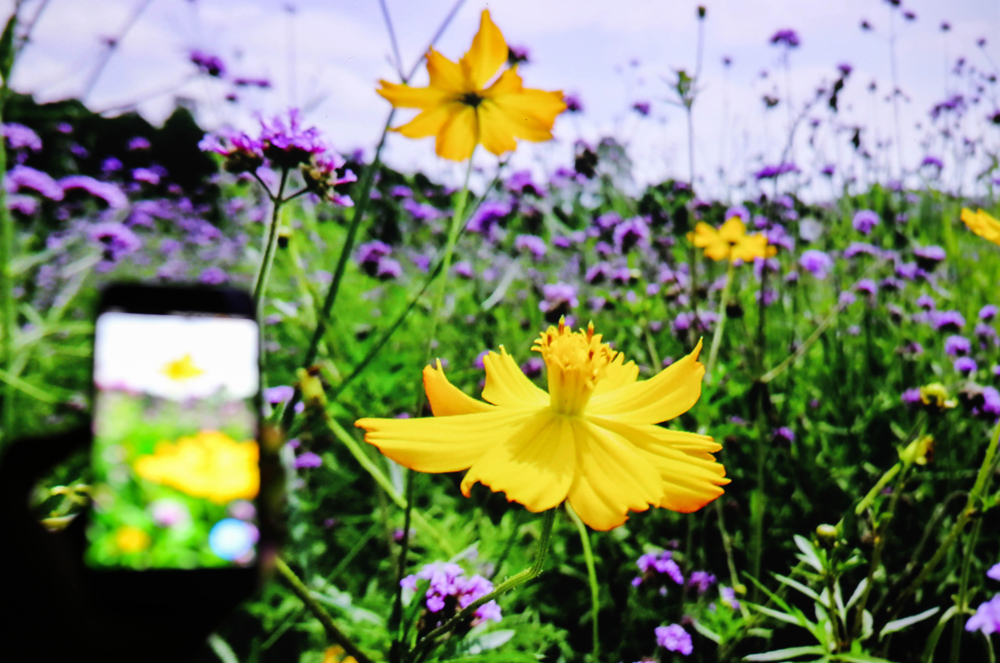 小米投影最新推荐,小米最具性价比的一款投影