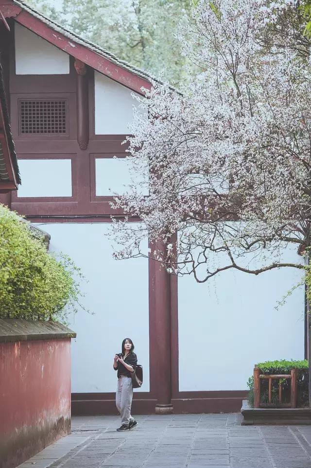 他在这里盖房子时，日本人还没学会唐风