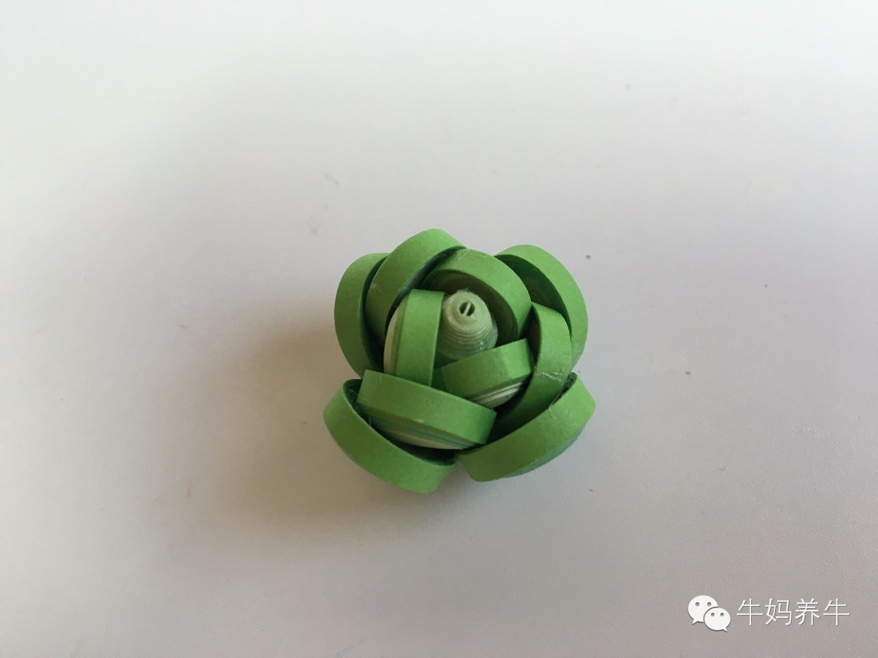 衍纸创意手工简单图片,衍纸手工亲子